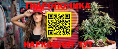 spice Гай