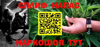 spice Гай
