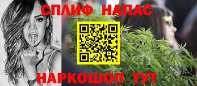 spice Гай