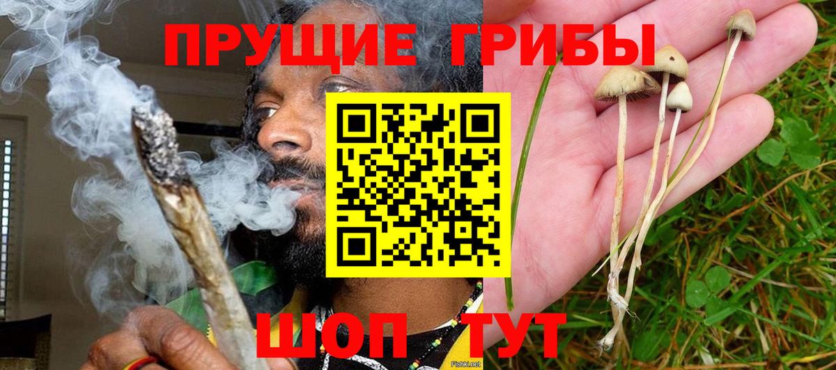 Истра  закладки  Вход с VPN  Галлюциногенные грибы мицелий 